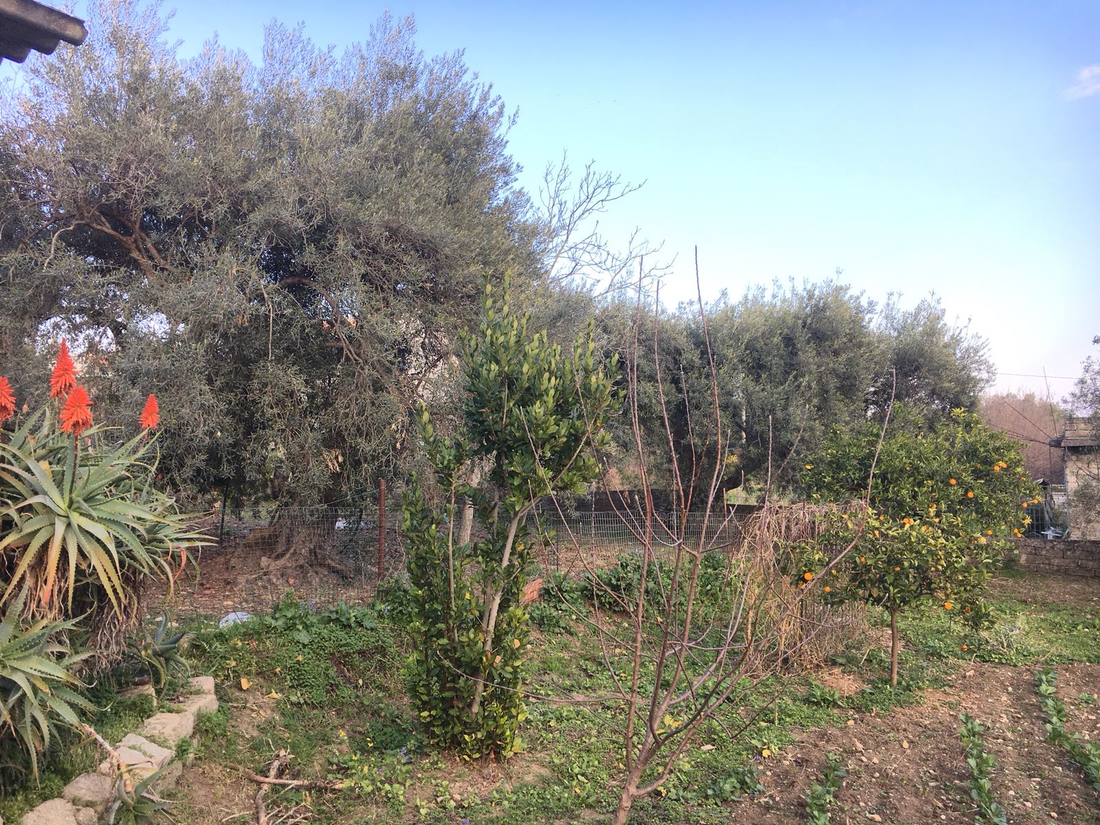 Villetta con terreno edificabile strada per floridia – amore immobiliare Mutuo per terreno edificabile