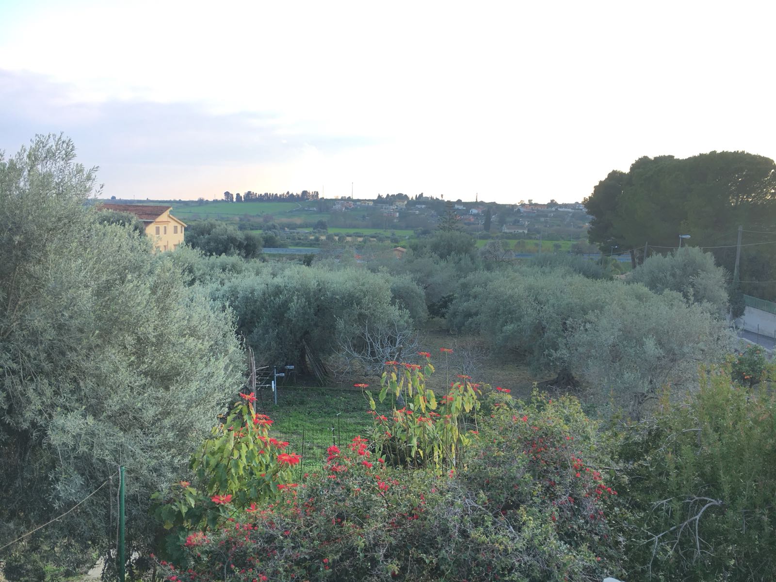 Villetta con terreno edificabile strada per floridia – amore immobiliare Mutuo per terreno edificabile