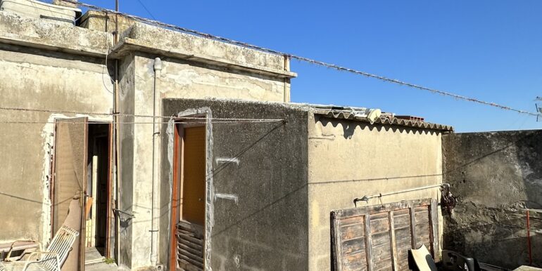 IMG-3539