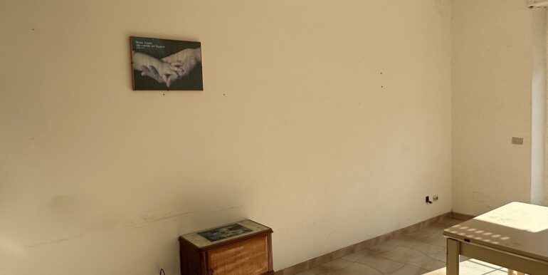 IMG-3541