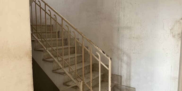 IMG-3544